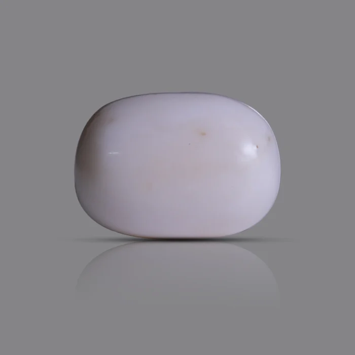 Natural Moonga Stone 16.60 Ct | Certified White Coral