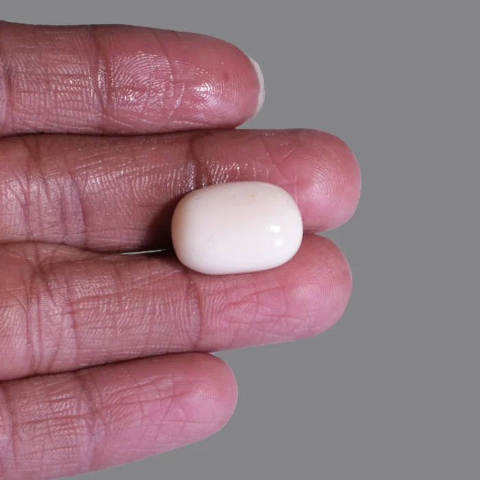Natural Moonga Stone 16.60 Ct | Certified White Coral
