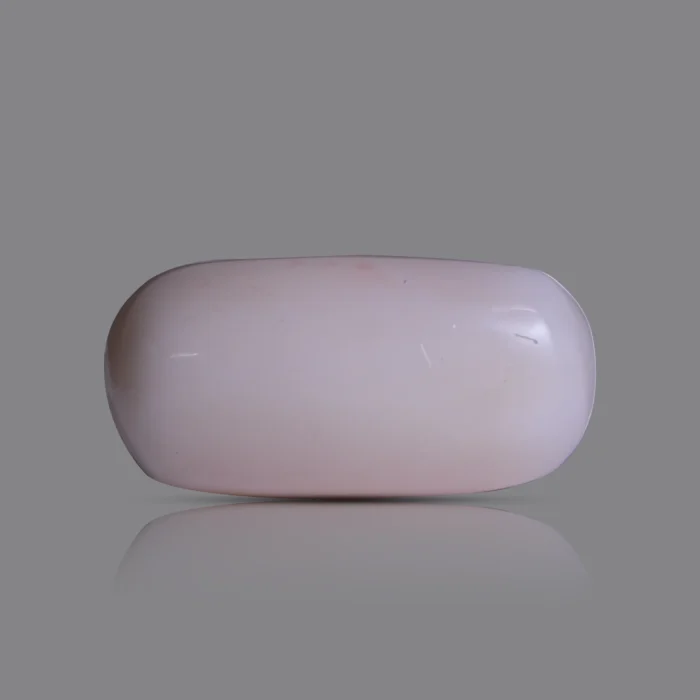 Natural Moonga Stone 11.45 Ct | Certified White Coral