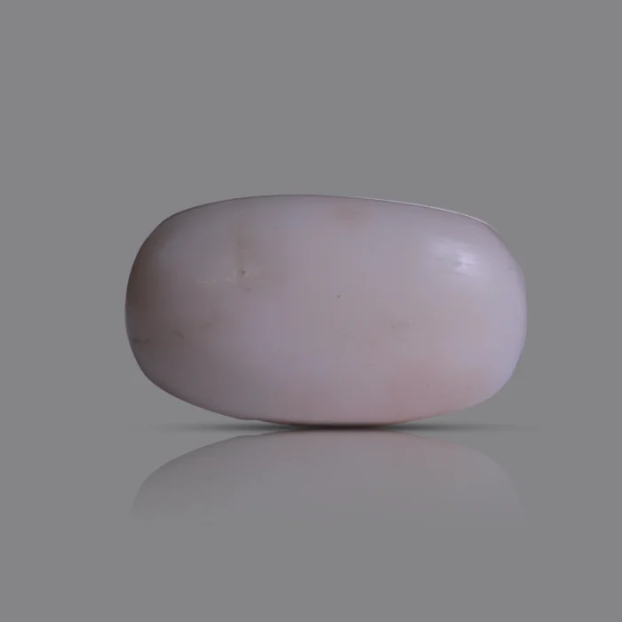 Natural Moonga Stone 8.20 Ct | Certified White Coral