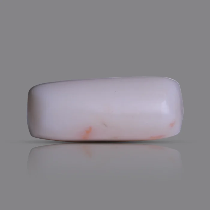Natural Moonga Stone 11.90 Ct | Certified White Coral
