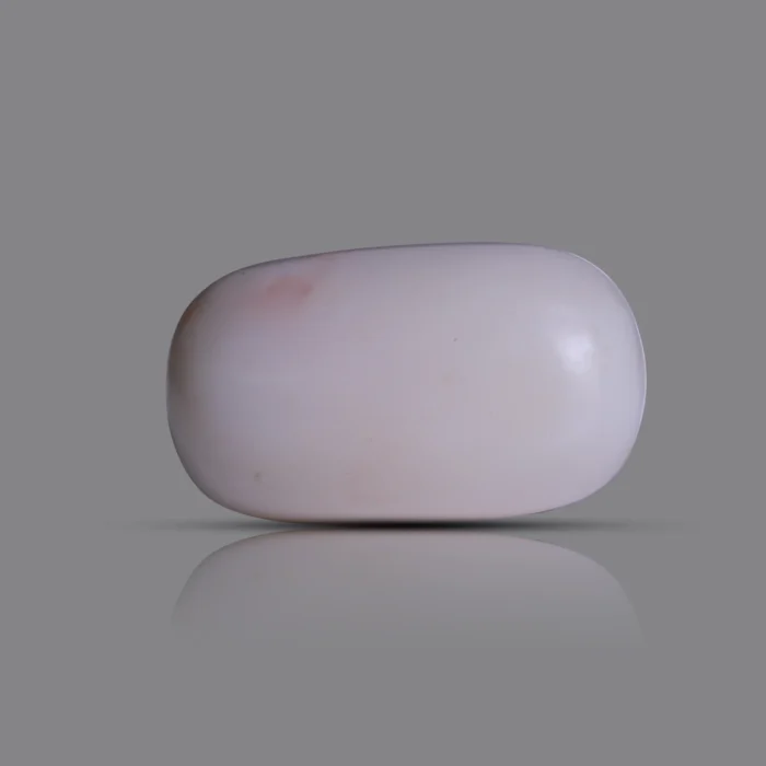 Natural Moonga Stone 17.55 Ct | Certified White Coral