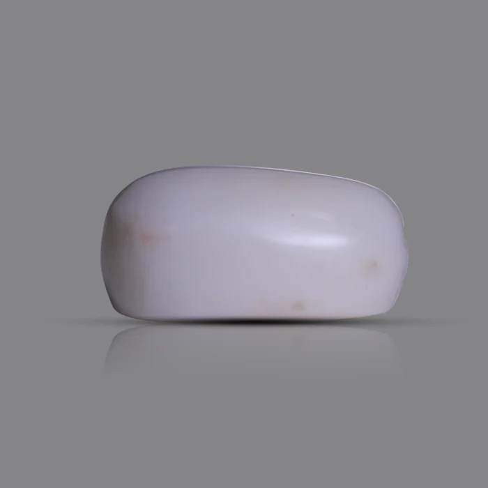 Natural Moonga Stone 8.45 Ct | Certified White Coral