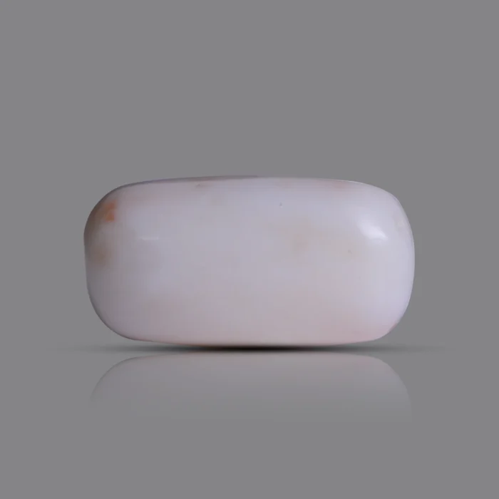 Natural Moonga Stone 15.65 Ct | Certified White Coral