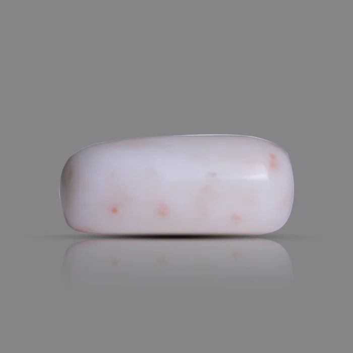 Natural Moonga Stone 15.65 Ct | Certified White Coral