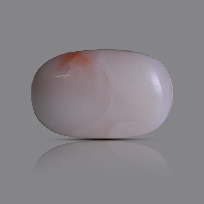 Natural Moonga Stone 11.00 Ct | Certified White Coral