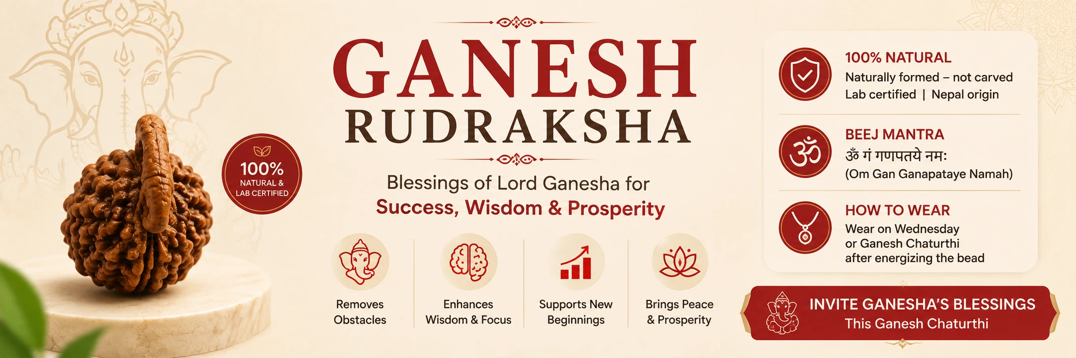 Ganesh Rudraksha