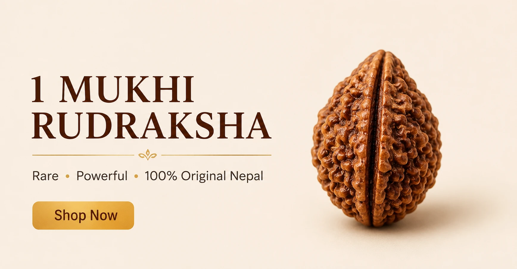 1 Mukhi Rudraksha Banner