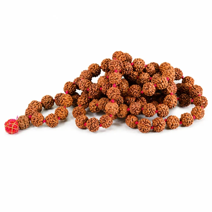 Lab Certified Rudraksha Mala – Natural 108 Beads Japa Mala