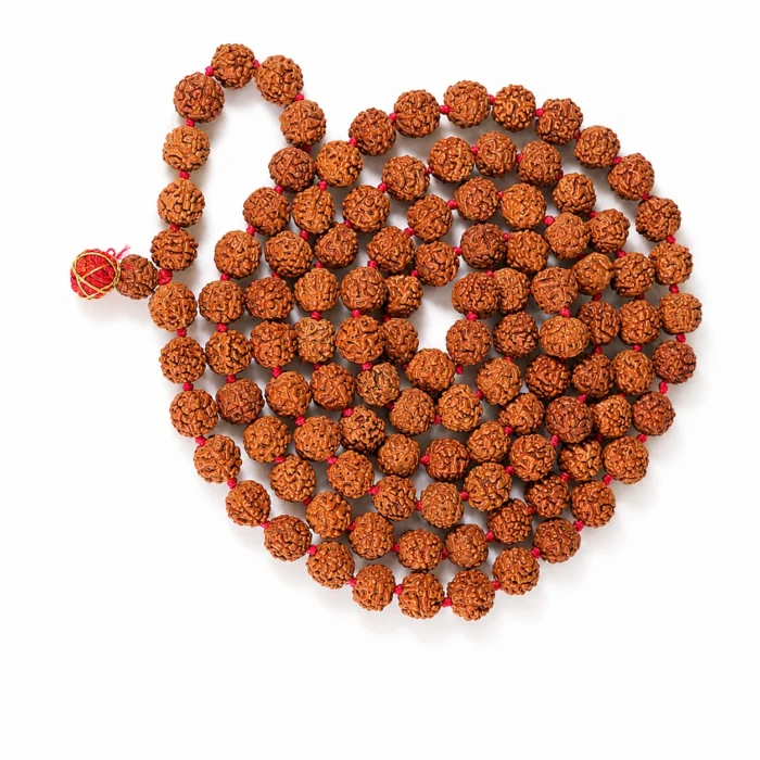 Lab Certified Rudraksha Mala – Natural 108 Beads Japa Mala