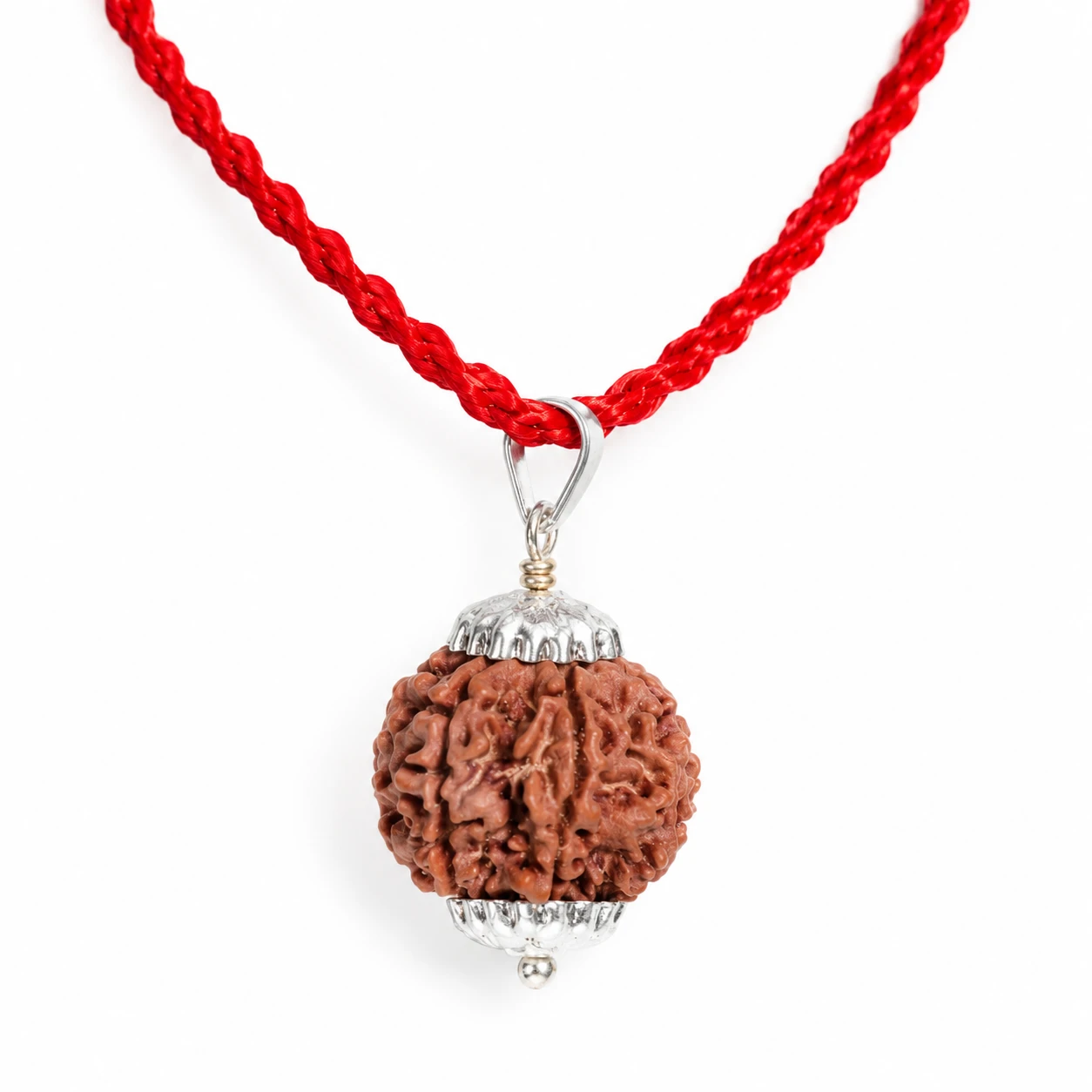 Natural 6 Mukhi Rudraksha Pendant