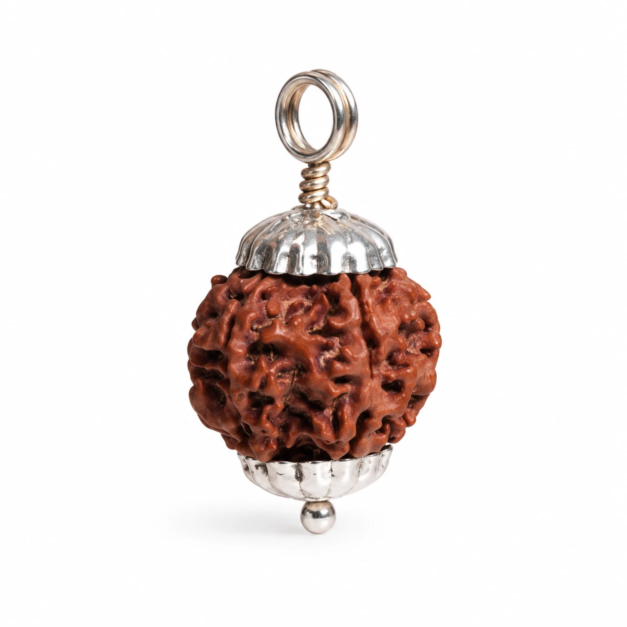 5 Mukhi Rudraksha Pendant