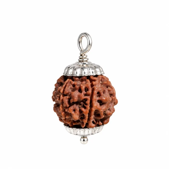 6 Mukhi Rudraksha Pendant
