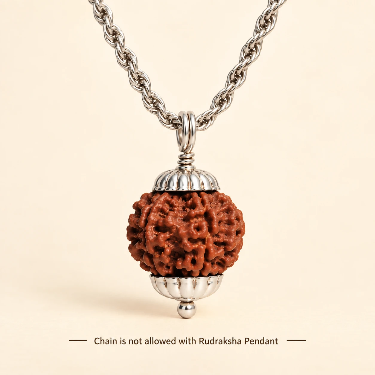 5 Mukhi Rudraksha Pendant