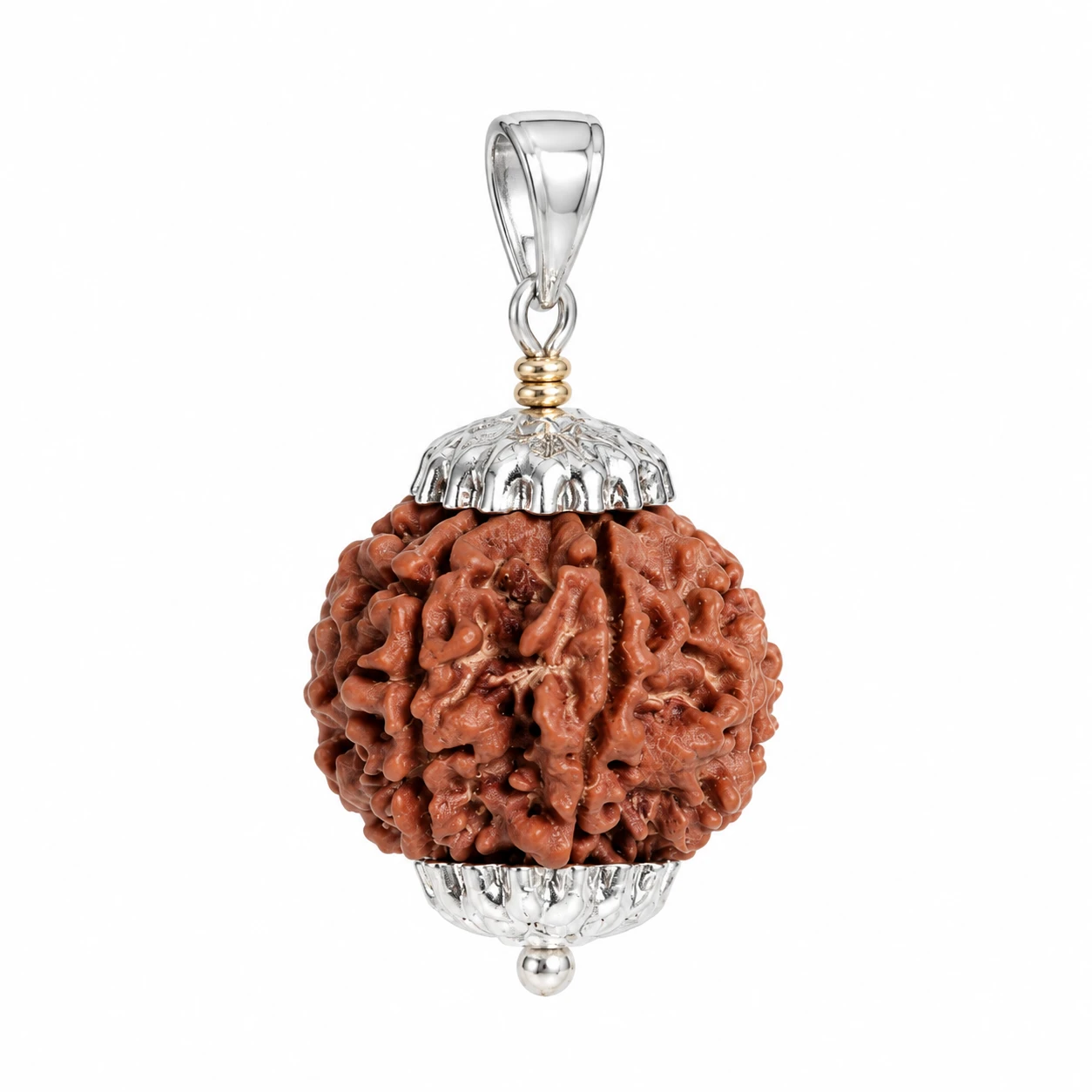 Natural 6 Mukhi Rudraksha Pendant