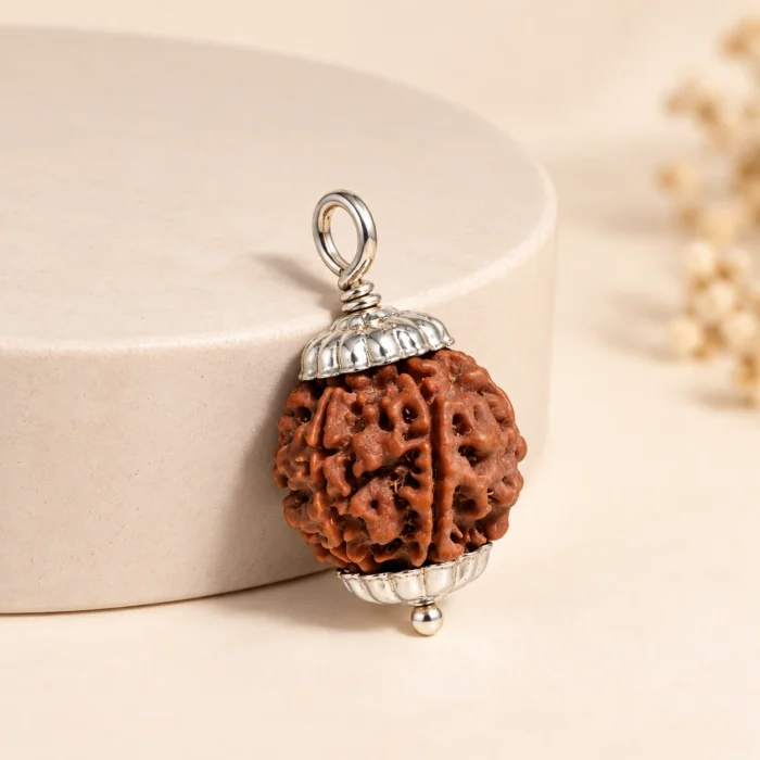 6 Mukhi Rudraksha Pendant | Authentic Natural Rudraksha